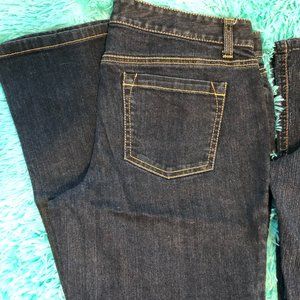 Ann Taylor Jeans